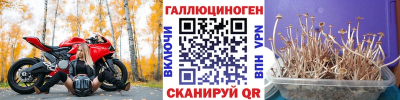 где найти наркотики мориарти как зайти Галлюциногенные грибы Magic Shrooms Волжск